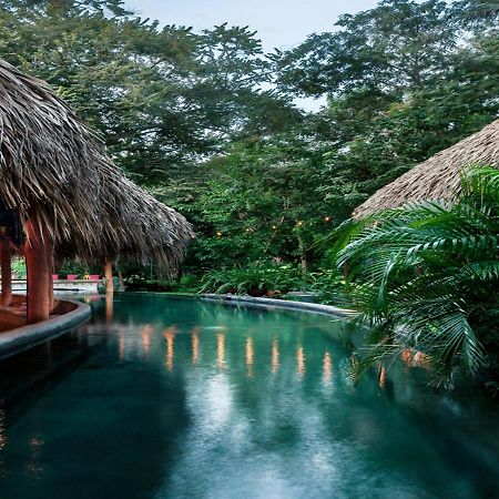 The Space Jungle Oasis San Juan del Sur Bagian luar foto